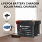 LiFePO4 Battery Charger
