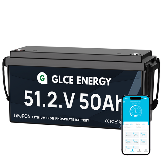 51.2V 50Ah LiFePO4 Battery (Bluetooth)