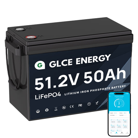48V 50Ah LiFePO4 Battery Mini with 100A Bluetooth BMS  (Bluetooth)