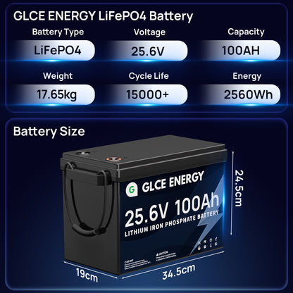 24V 100Ah LiFePO4 Battery Mini