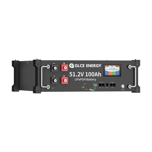 51.2V 100Ah LiFePO4 Battery(Bluetooth/WiFi)