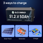 51.2V 50Ah LiFePO4 Battery (Bluetooth)